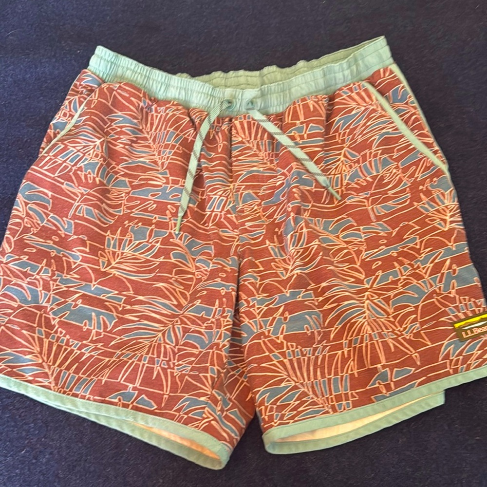 LL Bean Swim Shorts